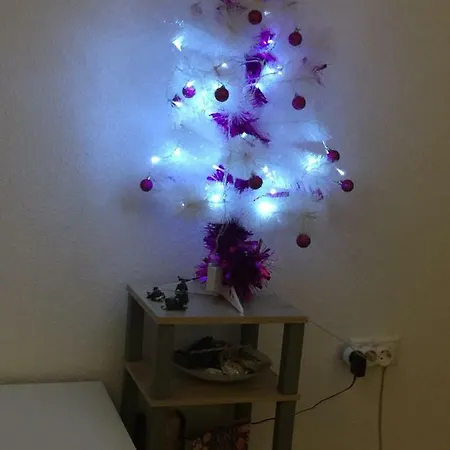 Apartamento En Campello شقة